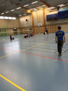 Svenska landslaget tränar i Trelleborg inför VM i Sydkorea. De plockade med sig en bronspeng och en biljett till OS i Rio.