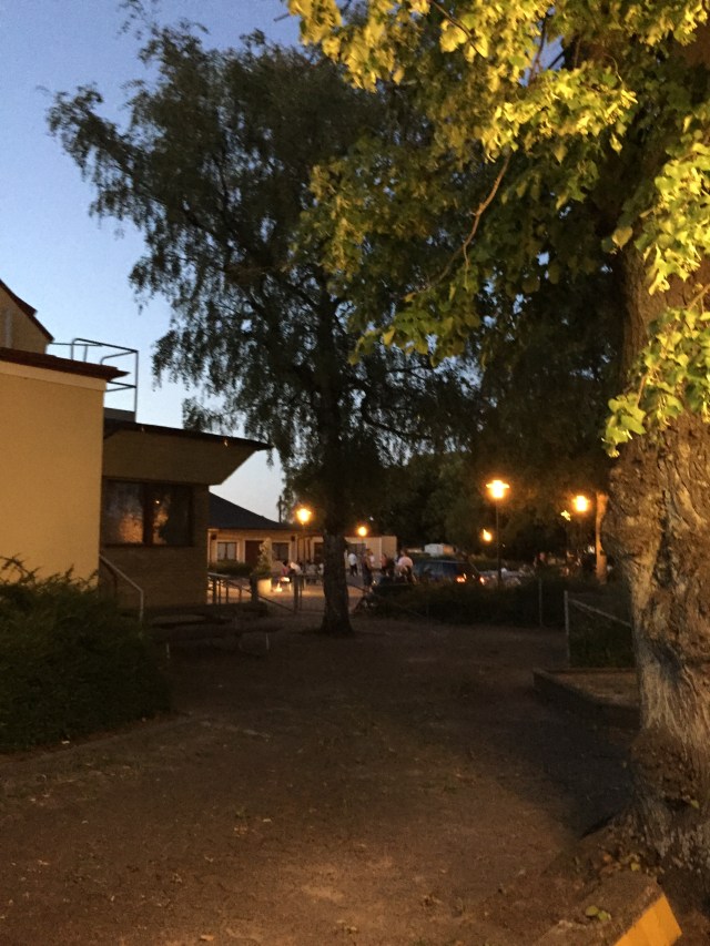 En vanlig tisdagskväll vid 22-tiden brukar det inte vara fullt av ungdomar i Parken. 