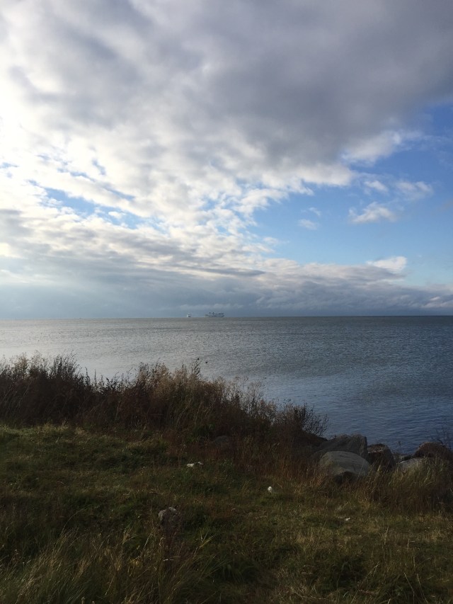 Blickar ut över havet, från det som snart kan vara Sjöstaden
