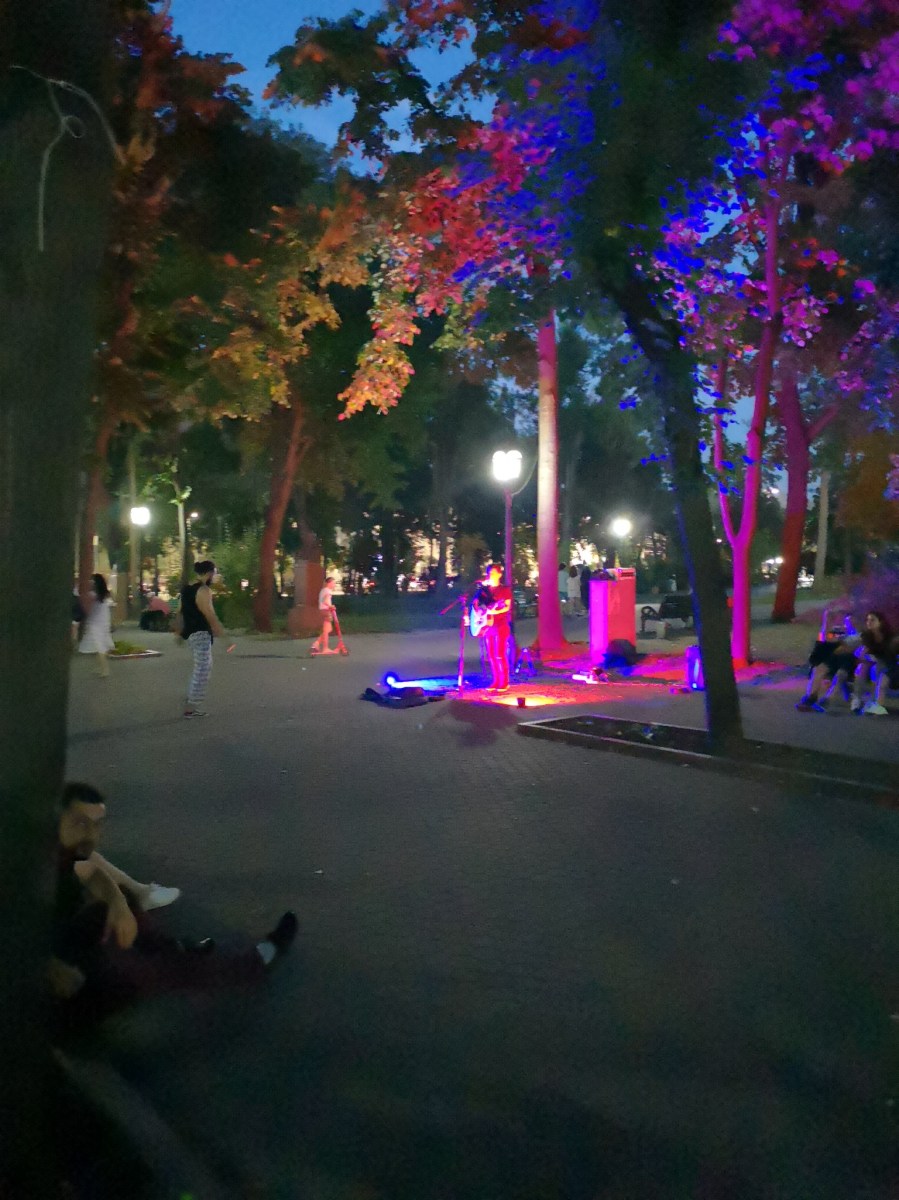 Kvällsbild från parken