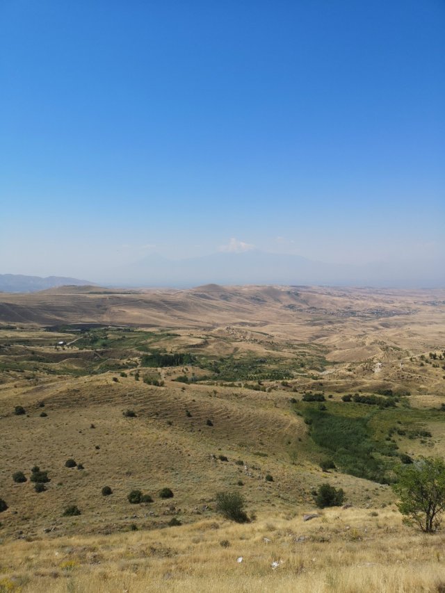 Jerevan Ett grönt böljande landskap med berget Ararat längs bort