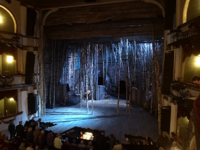 Många björkstammar utgör kulisserna på scen